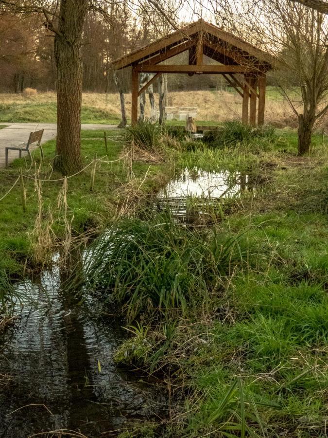 Le Domaine Des Droles De Dames Hostal Buding Exterior foto